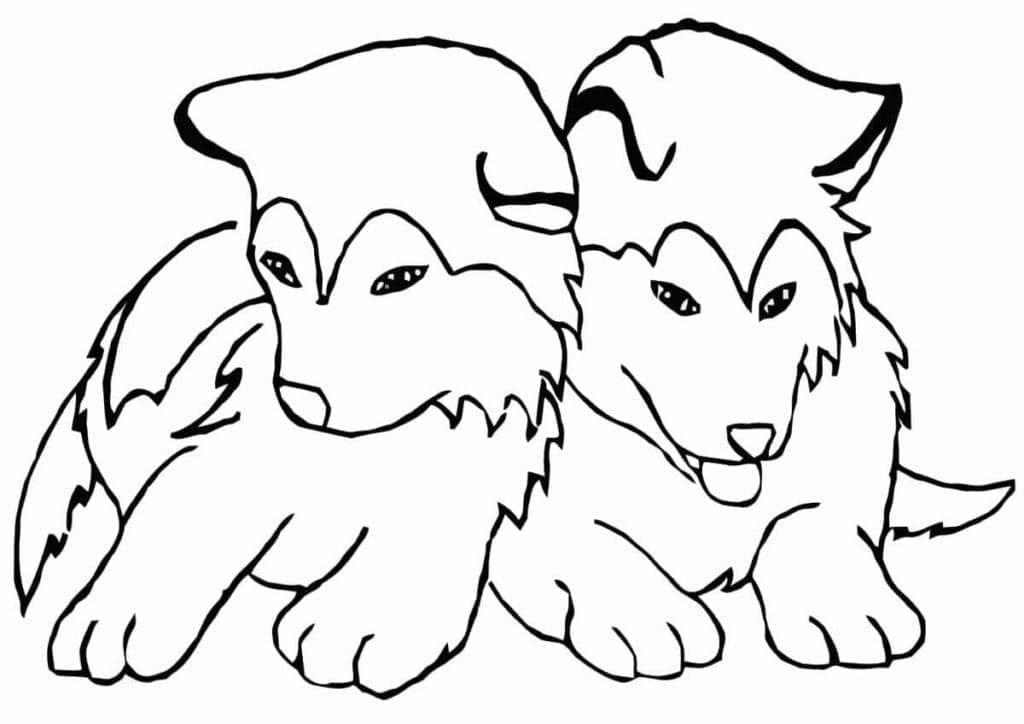 tranh tô màu Tô Màu Chó Husky