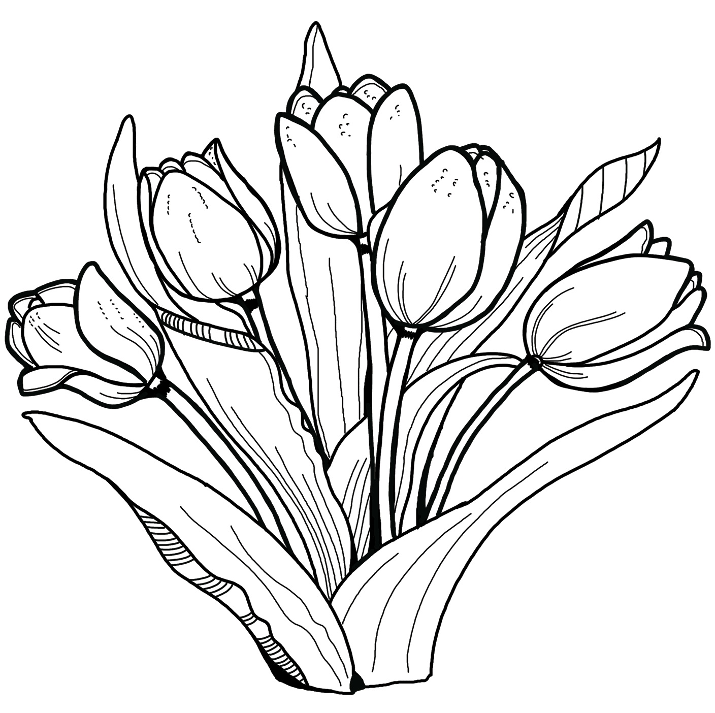 tranh tô màu Tô Màu Hoa Tulip
