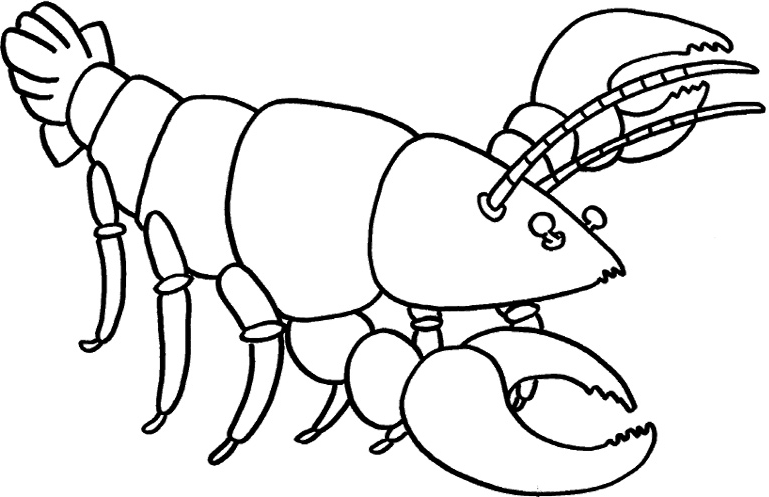 tranh tô màu Tô Màu Con Tôm