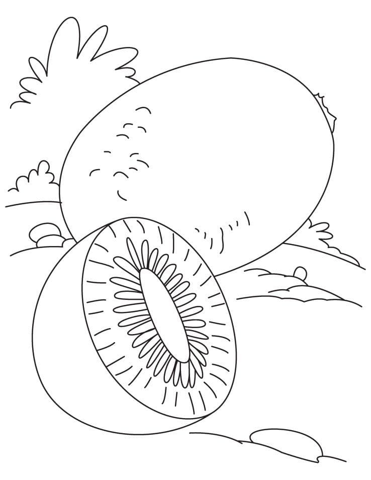 tranh tô màu Tô Màu Quả Kiwi
